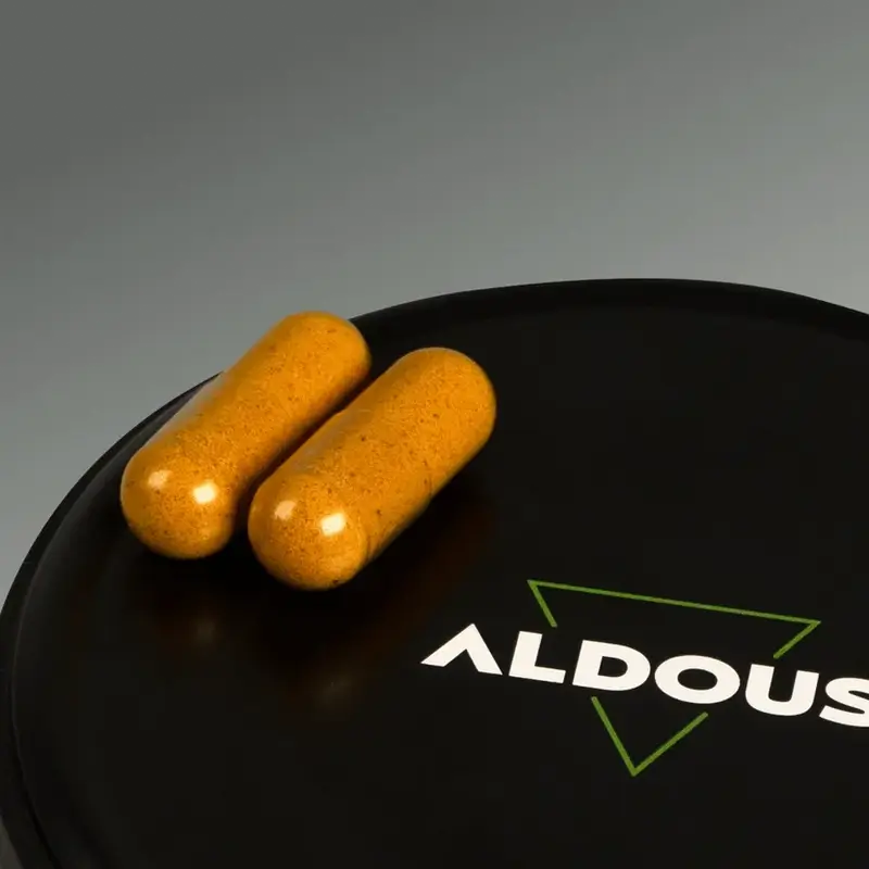 Aldous Bio Turmeric With Ginger And Black Pepper With Probiotics, 2X250 Capsules