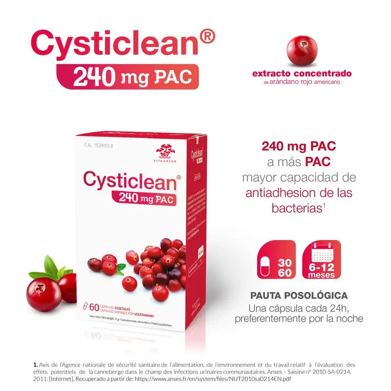 Cysticlean 240 Mg Pac, 60 capsules