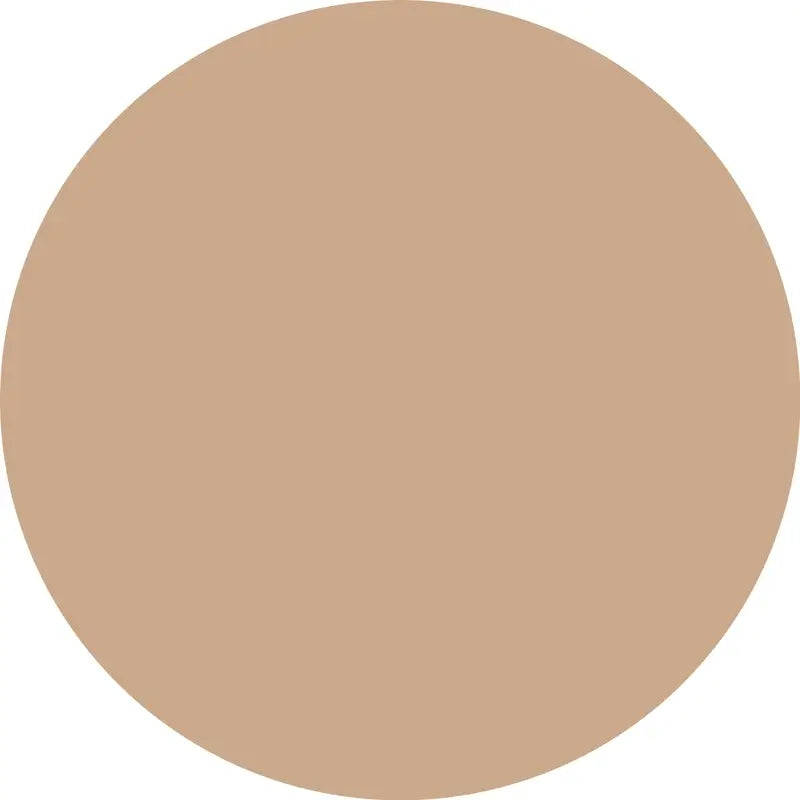 Essence Silky Blur Long Lasting Moisturising Foundation 100, 30 ml