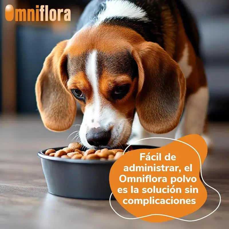 Omniflora Oral Powder, 30 Sachets x 2 grams
