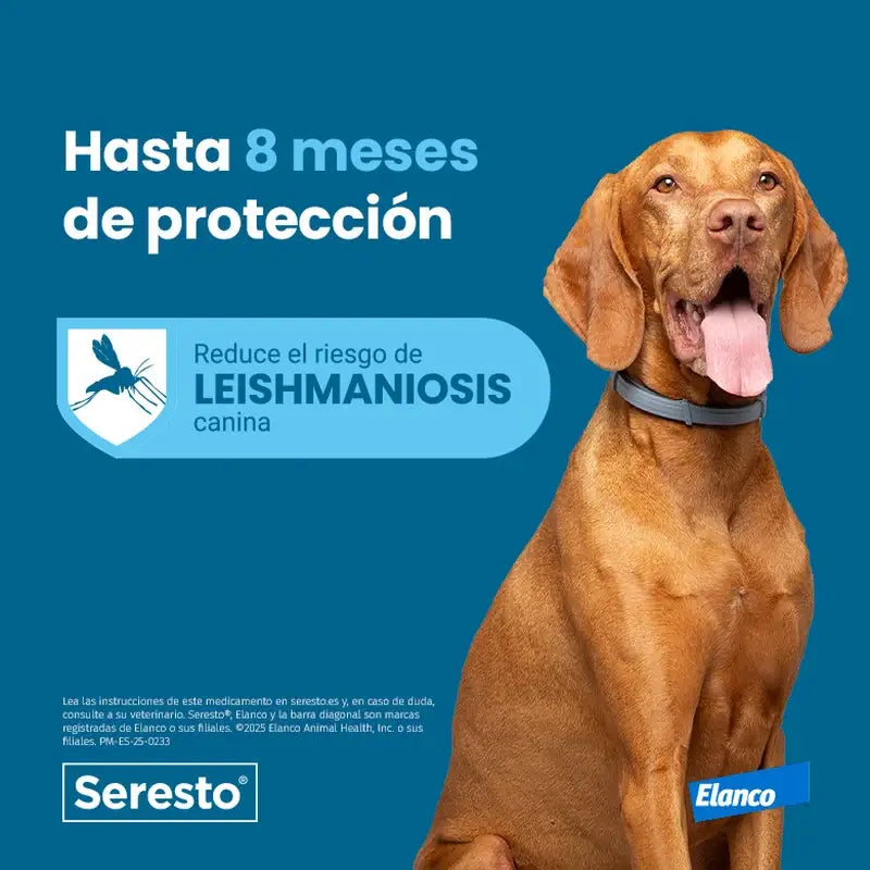 Seresto Dog Collar -8Kg Small Pack 2 units