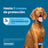 Seresto Dog Collar -8Kg Small Pack 2 units