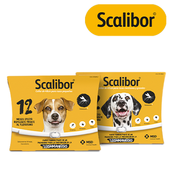 SCALIBOR ANTIPARASITIC (31 JULY 2026)